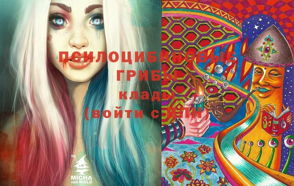 гашик Аркадак