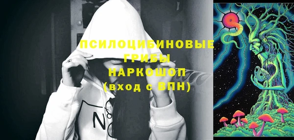 гашик Аркадак
