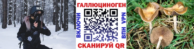 Псилоцибиновые грибы Psilocybine cubensis  Удачный 